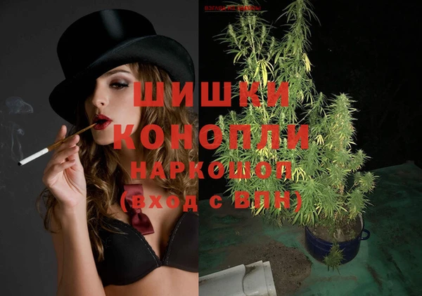 шишки Покров