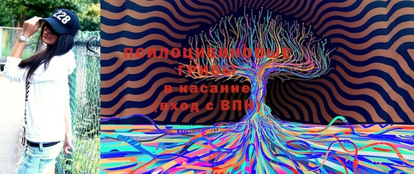 меф Покачи